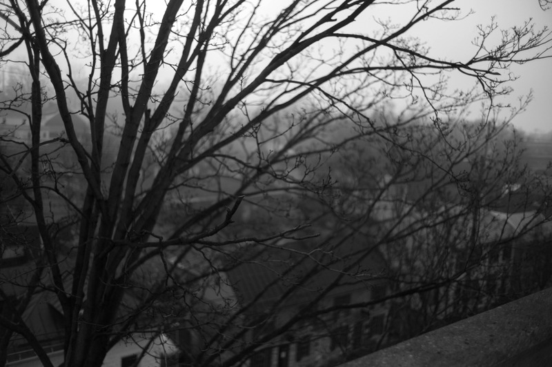 Silent Urban Veil