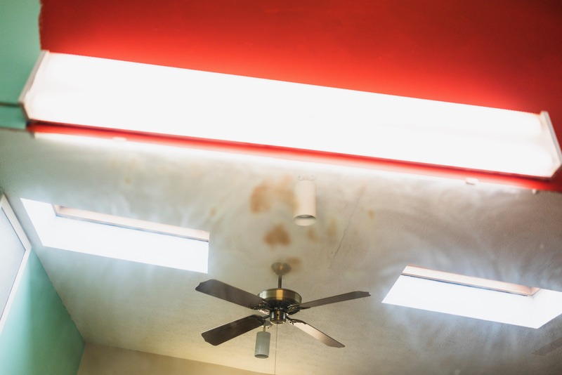 Ceiling Reflections