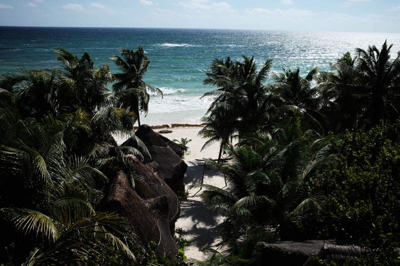 Tropical Haven
