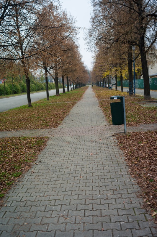 Autumn Lane