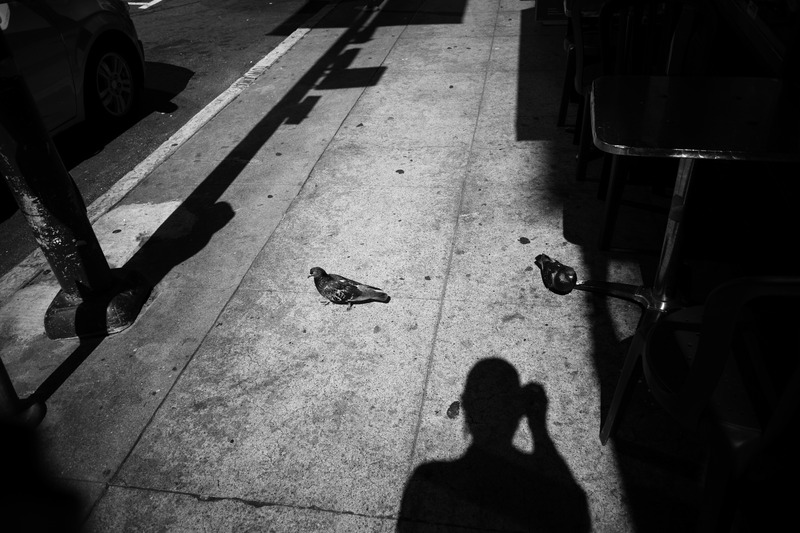 Urban Shadows