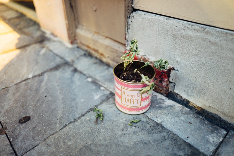 Resilient Remnants