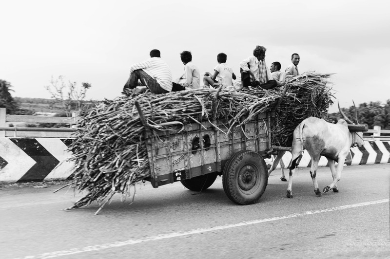 Journey of Labor