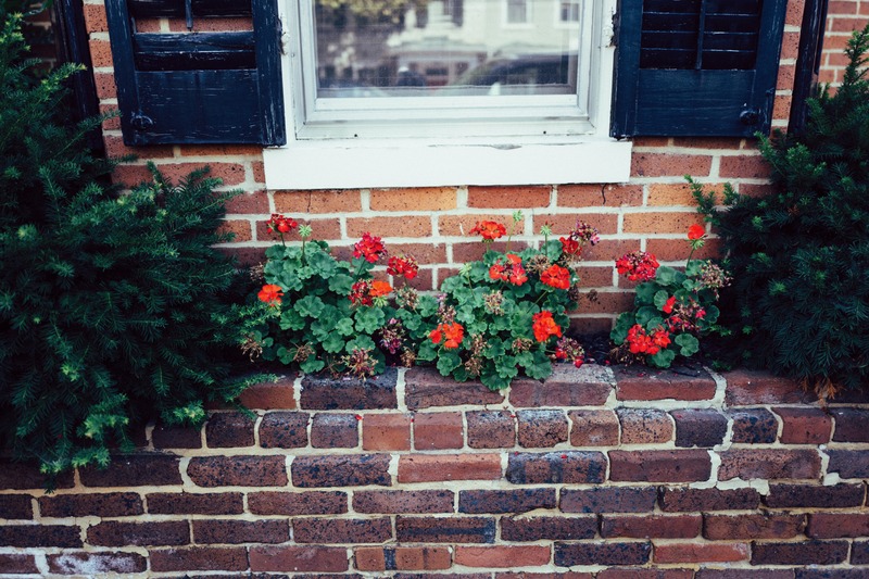 Charming Brick Garden