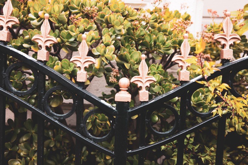 Ornate Boundaries
