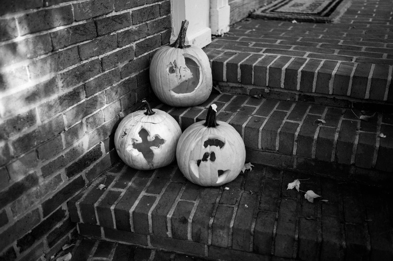 Autumnal Whimsy