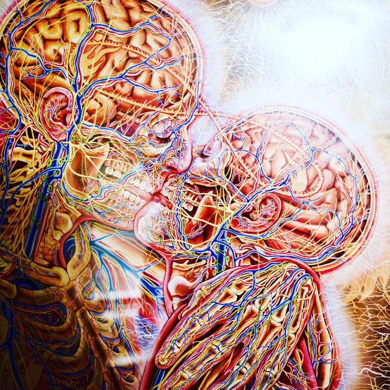 Veins of Connection