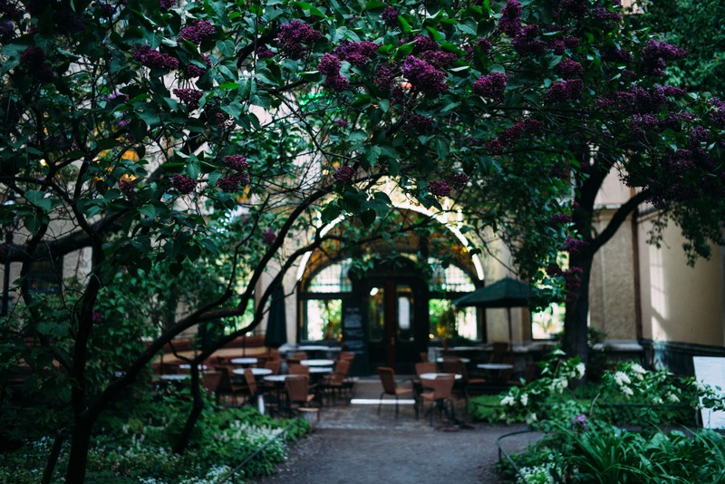 Hidden Garden Oasis