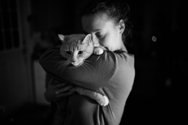 Embrace of Shadows