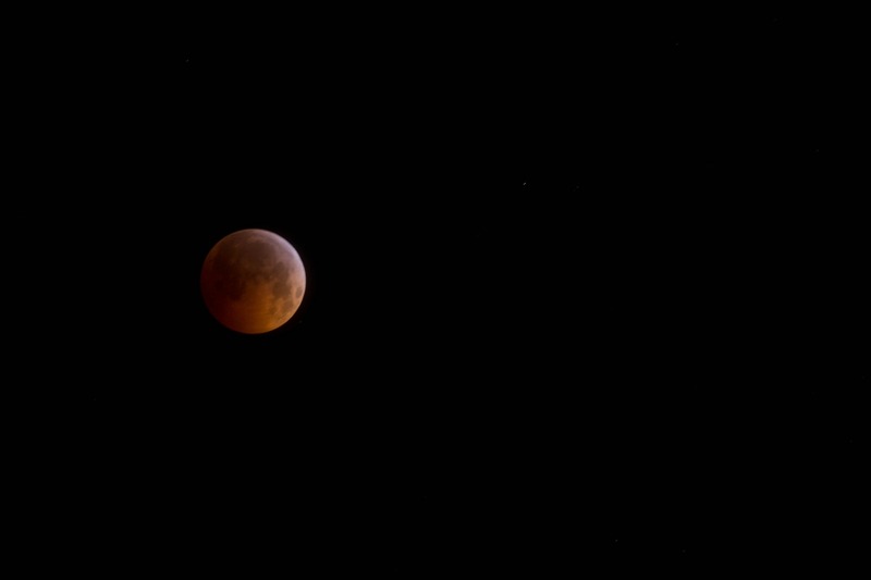 Lunar Elegance