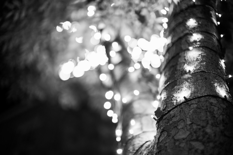 Whispers of Light