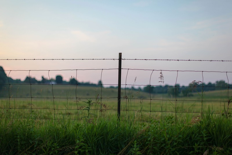 Barbed Serenity