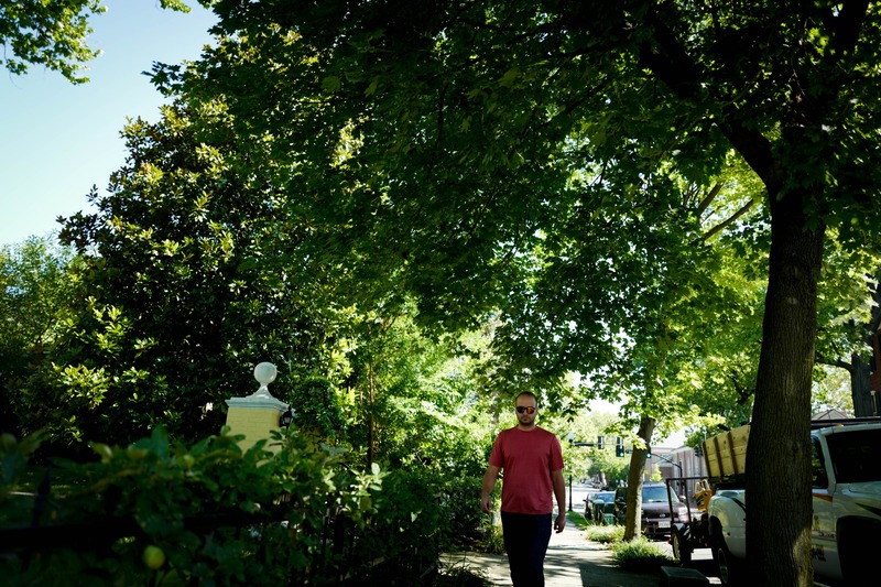 Sunlit Stroll