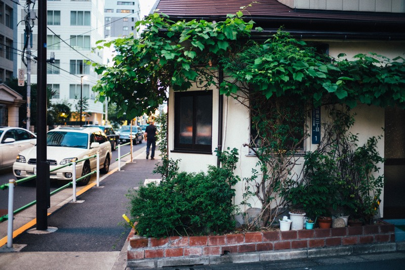 Urban Serenity