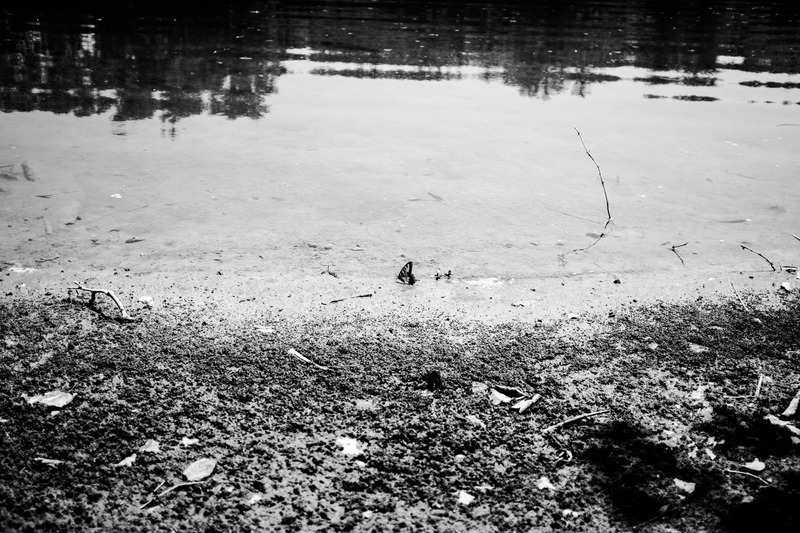 Serene Waterscape