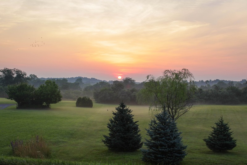 Morning Serenity