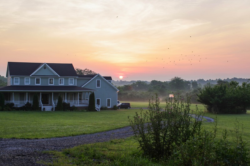 Morning Bliss