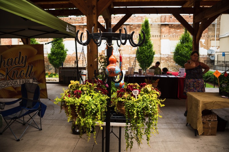 Market Day Vibrance