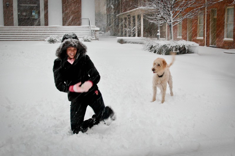 Winter Playtime