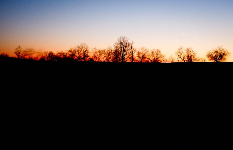 Silhouettes at Dusk