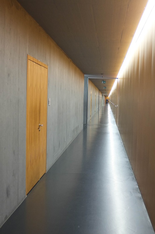 Endless Corridor