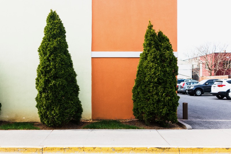 Urban Symmetry in Green