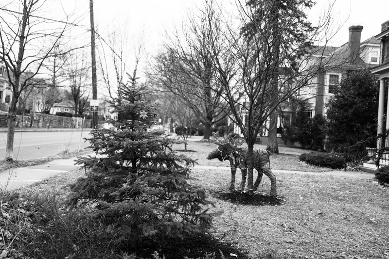 Quiet Winter Stroll