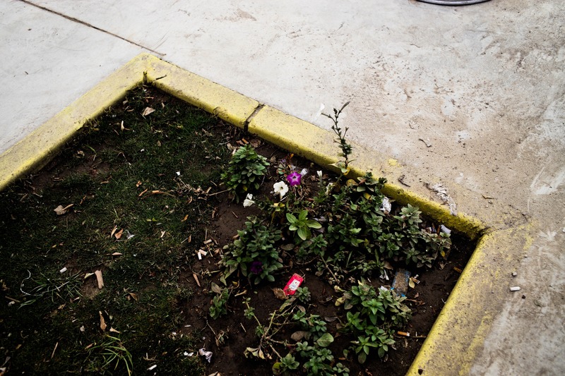 Urban Resilience