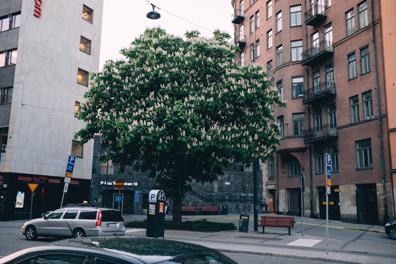 Urban Oasis