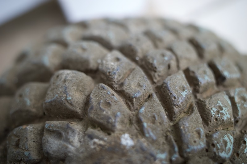 Tread and Texture