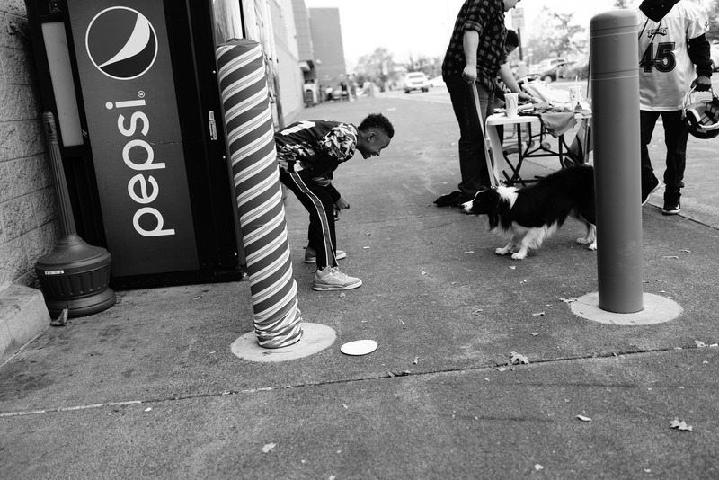 Playful Encounter