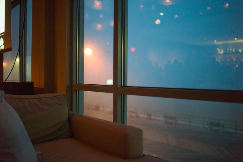 Misty Urban Refuge
