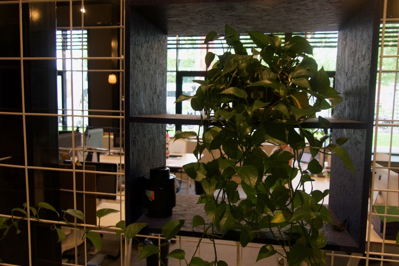 Urban Greenery