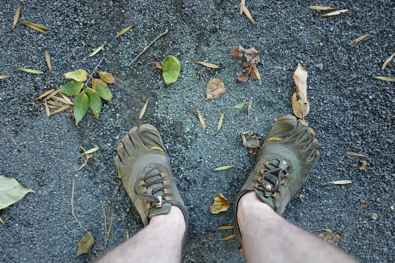 Nature Underfoot