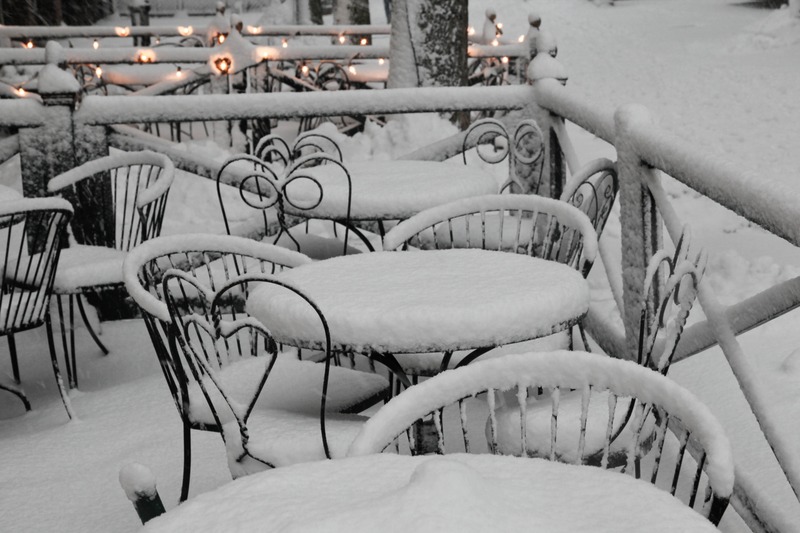 Winter's Embrace