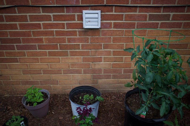 Urban Greenery