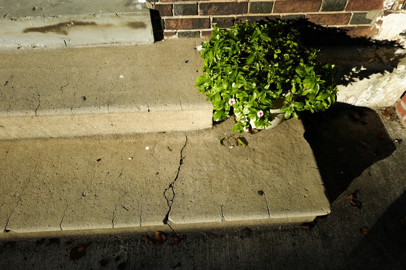 Quiet Resilience