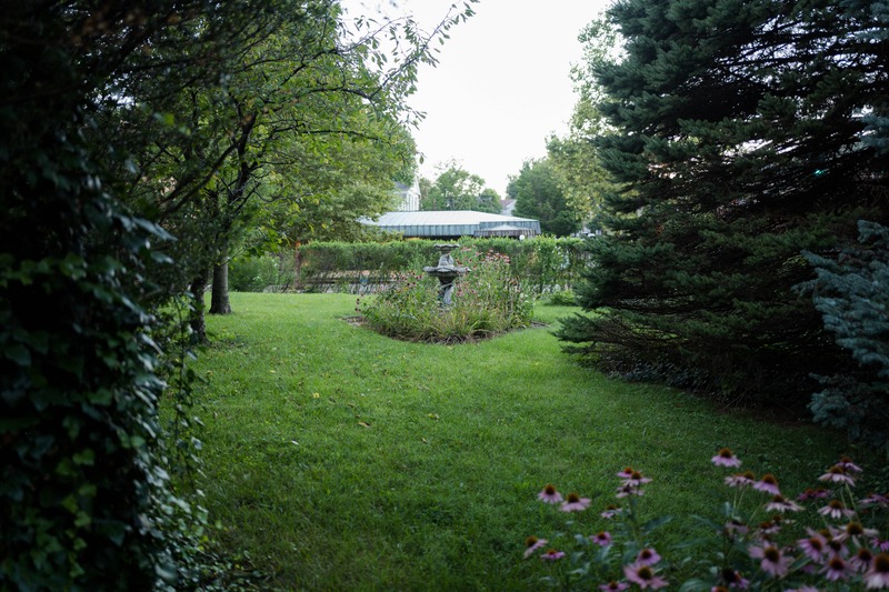 Serene Garden Pathway