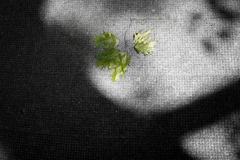 Resilient Green