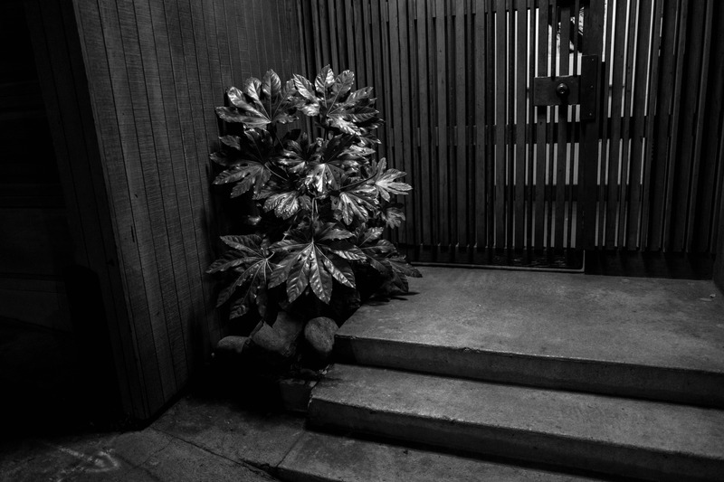 Silent Entrance