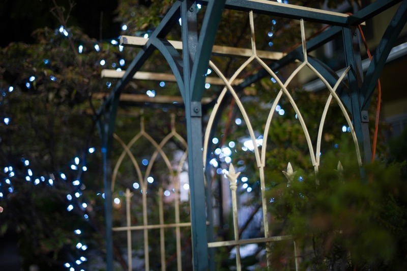 Twinkling Elegance