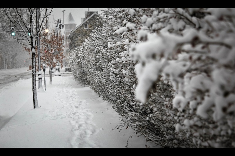 Silent Winter Veil