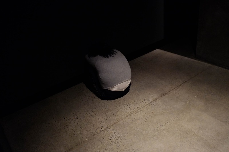 In Shadows We Hide