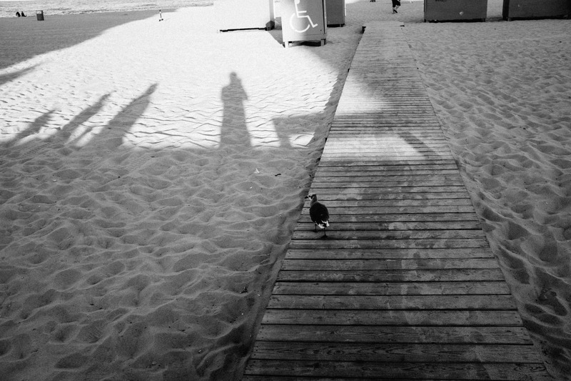A Solitary Walk