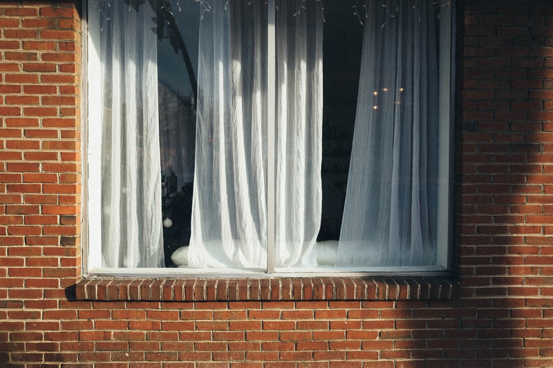 Veiled Light