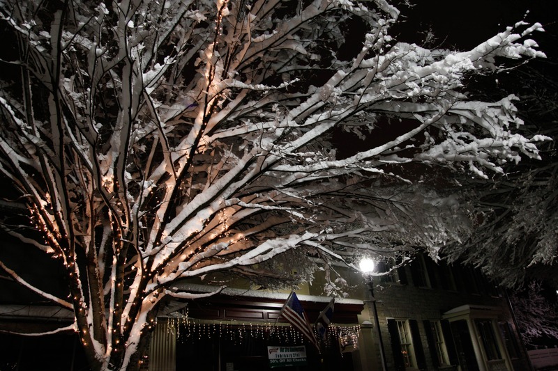 Winter Wonderland at Night