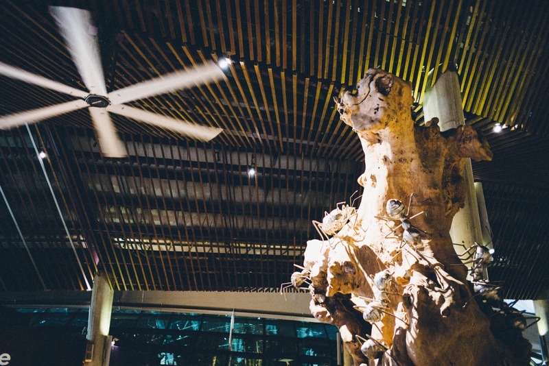 Nature Meets Modernity