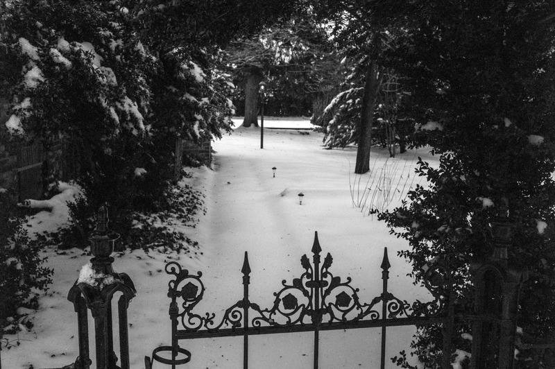 Whispers of Winter