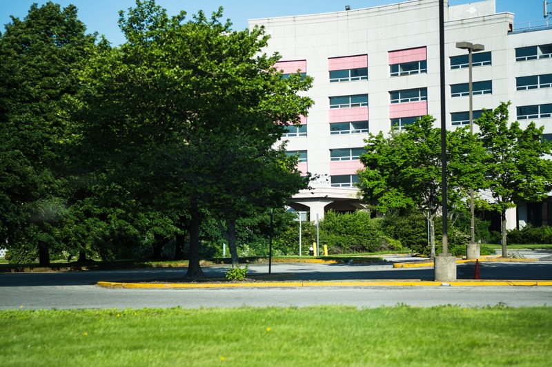 Urban Greenery Meets Architecture