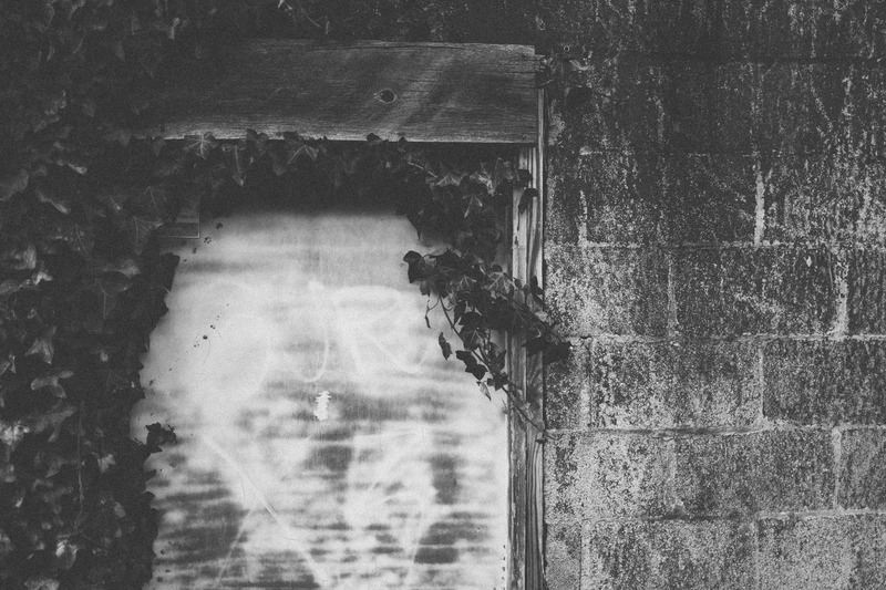 Fleeting Memories